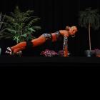 Aimee  Skiba - NPC Central States 2009 - #1